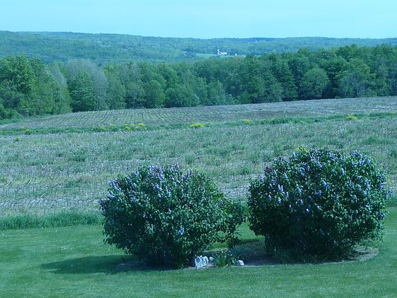 view from 4-season room