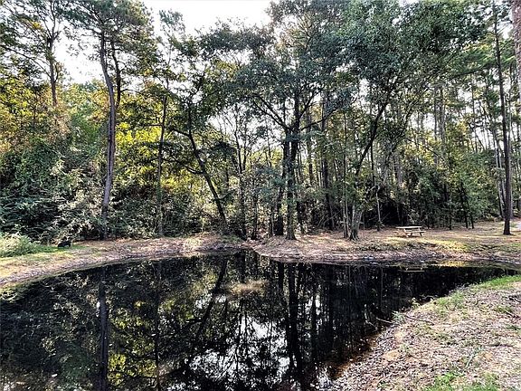 2nd image of 9942 County Road 203