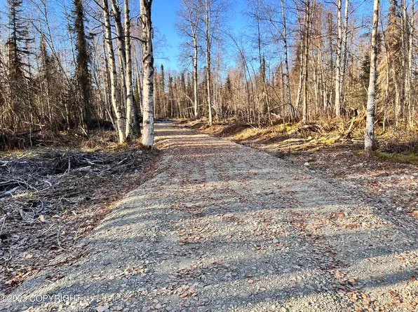 49602 S Bendapole Rd, Willow, AK 99688