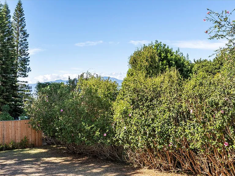 2986 Lower Kula Rd — Photo 24