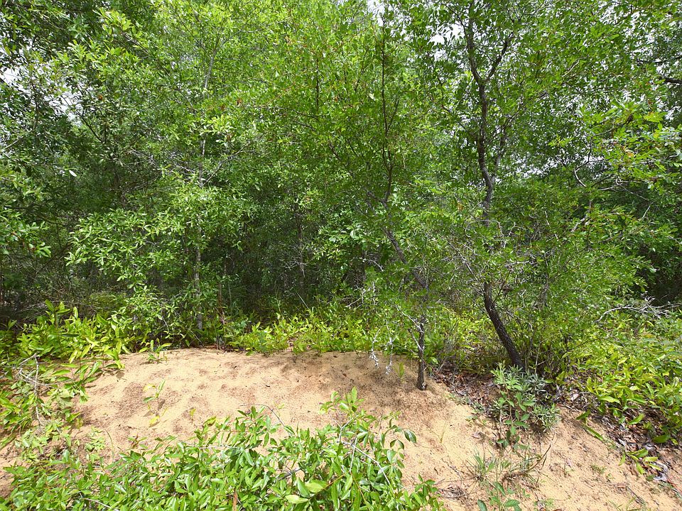 2nd image of Woodymarion Dr