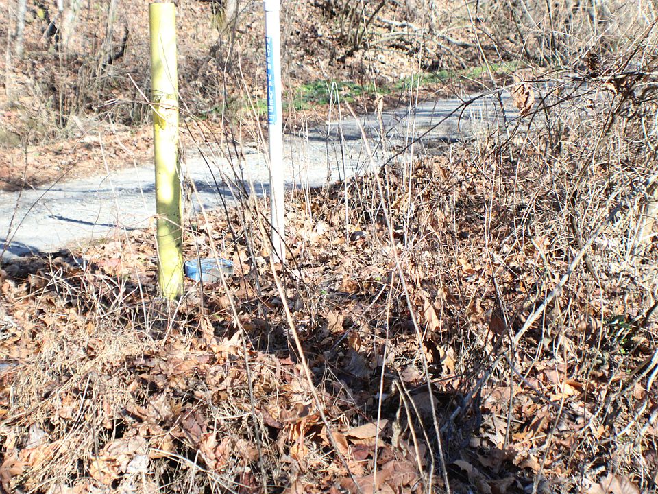 2nd image of 352 Hen Wilder Branch Rd