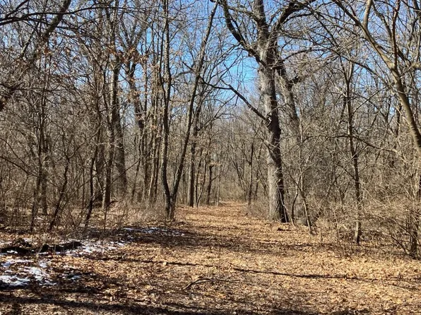 0 Carter Rd, Amboy, IL 61310
