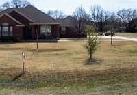 1st image of 208 Shadow Creek Ln