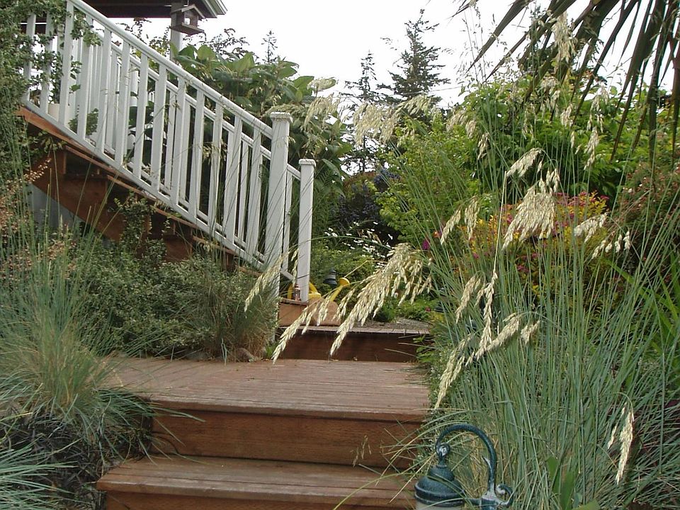 Steps to front porch from driveway