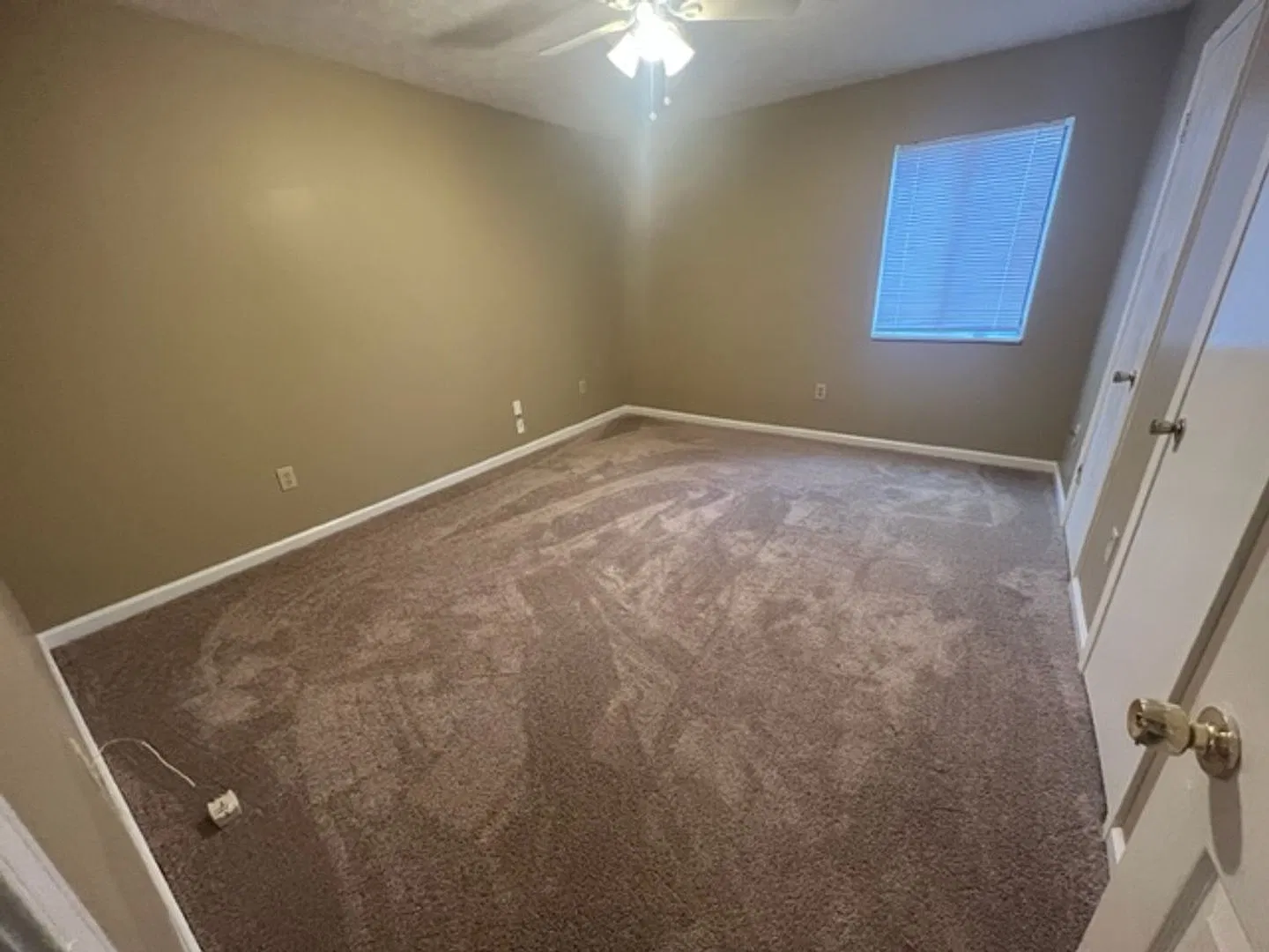 Campus View Apt-Walking Distance to UGA! — Photo 4
