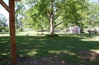 2nd image of 4509 Sanderson Ln
