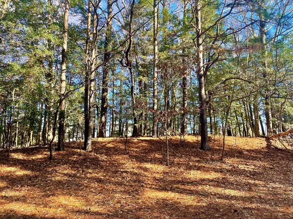 LOT 1593 High Sea Dr, Greenbackville, VA 23356