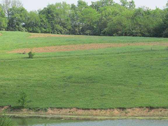 5th image of 1060 Keene Elkhorn Road