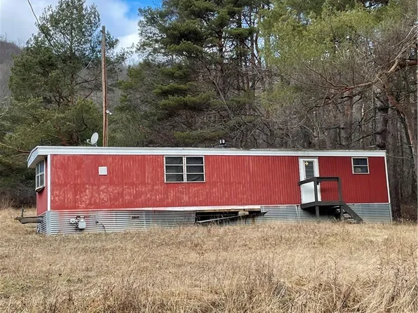 896 W Branch Rd, Smethport, PA 16749