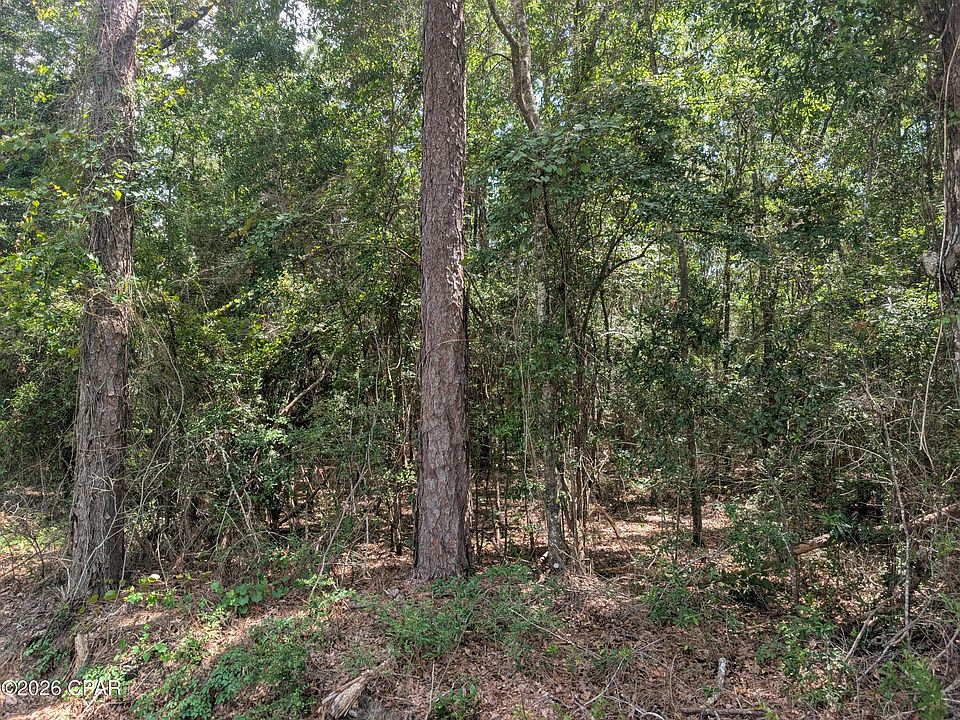 1st image of Marian Dr