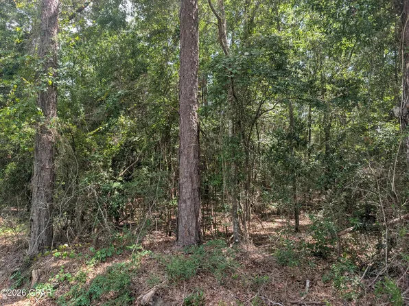 Marian Dr, Bonifay, FL 32425