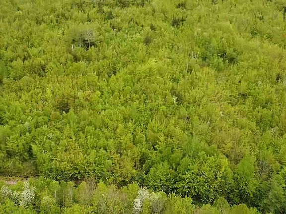 2nd image of W Side Ainslie Glen Rd Lot 6