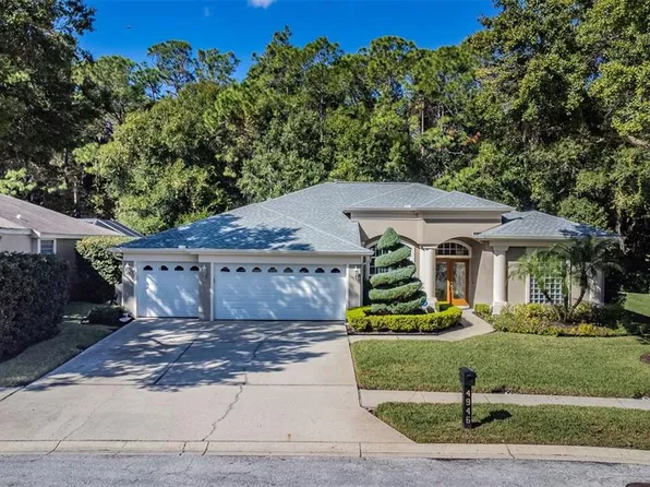 4946 Kylemore Ct, Palm Harbor, FL 34685