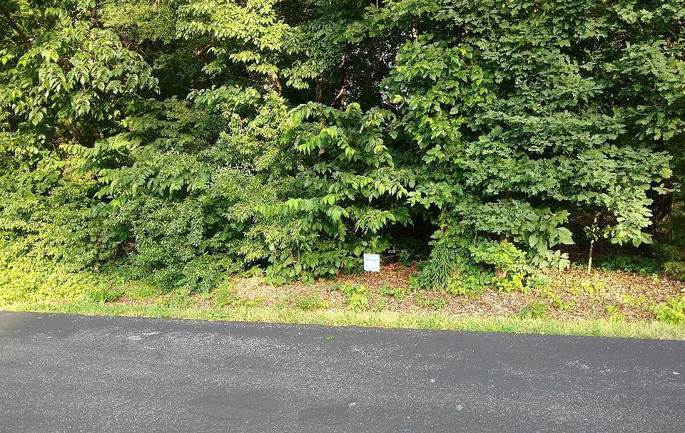 1st image of 107 Alichanoska Ln Lot 28