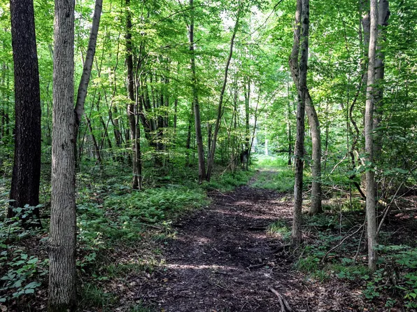 18th Ave Lot 2, Grand Junction, MI 49056
