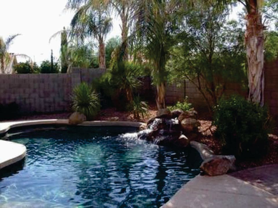 pool & waterfall/ palm trees