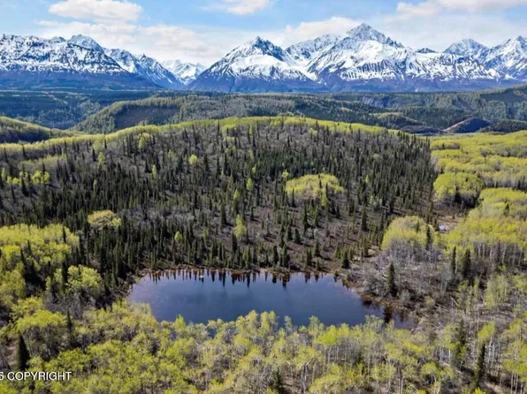 B005 S Packsaddle Rd, Sutton, AK 99674