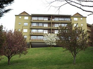 338 Pinnacle View Way SUITE 124, Gatlinburg, TN 37738