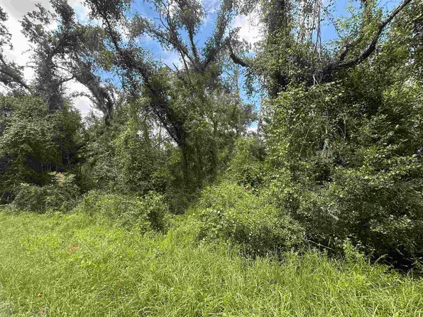 NE River Country Trl, Lee, FL 32059