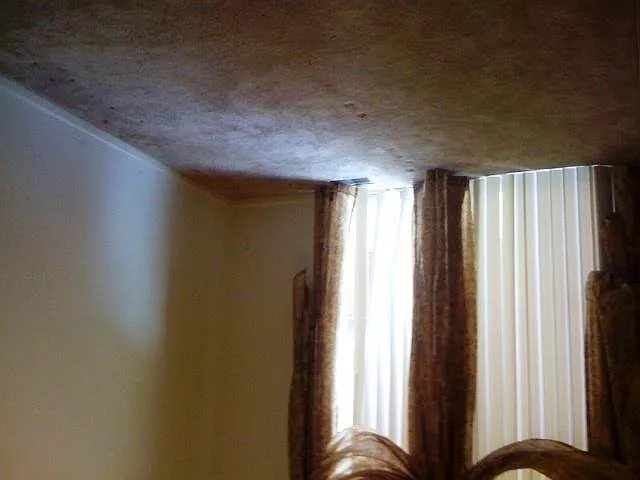 Bedroom # 2
