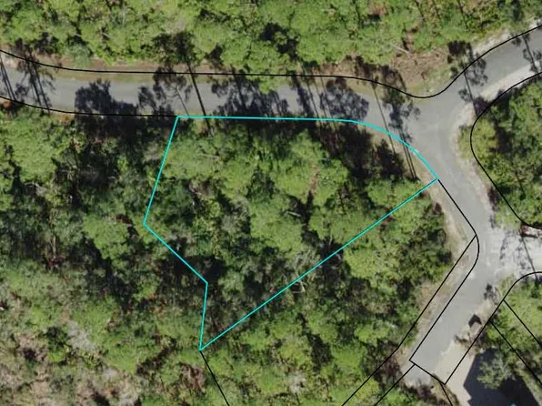 136 Marshmallow Ln Lot 483, Sopchoppy, FL 32358
