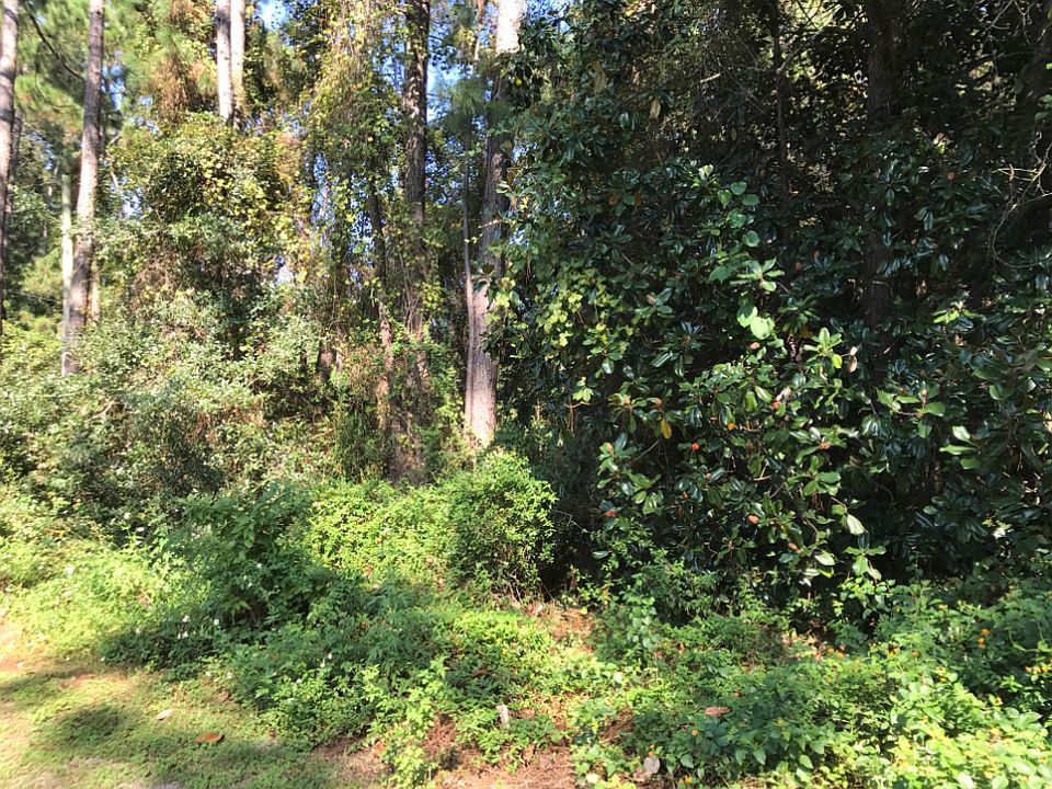 A Beauty of the Property !