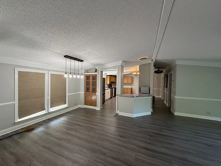 207 Big Tree Dr — Photo 4