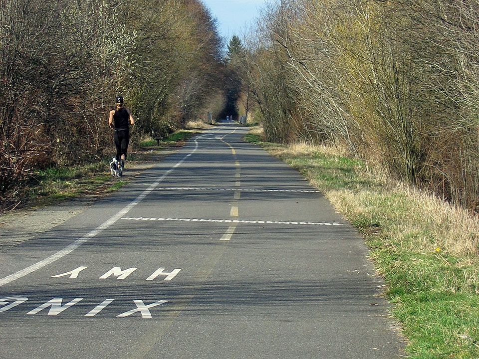 Chehalis Western Trail
