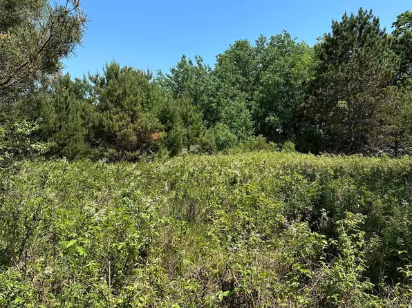 W Ludington Dr, Lake, MI 48632