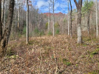 999 Pounding Mill Rd, Marble, NC, 28905