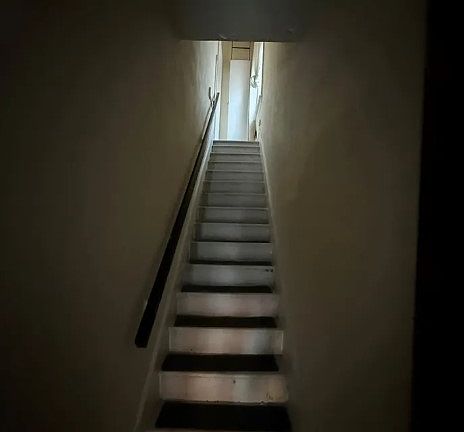3rd image of 267 Swinton Ave #3