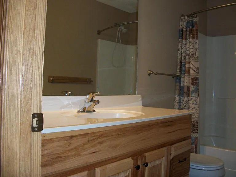 2319 Elianna Dr — Photo 8