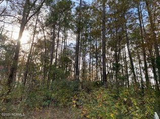 676 Singletary Rd #676, Whiteville, NC 28472