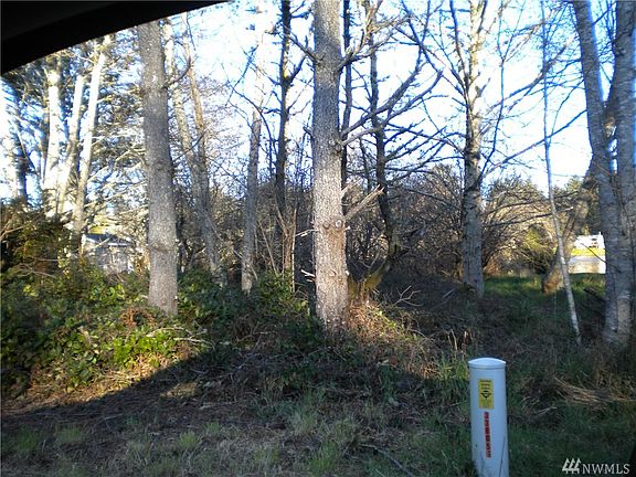4th image of 11111 Birch Pl