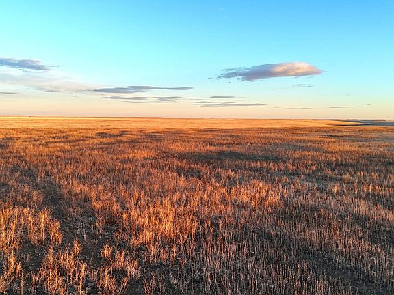 2nd image of Tbd County Road 169