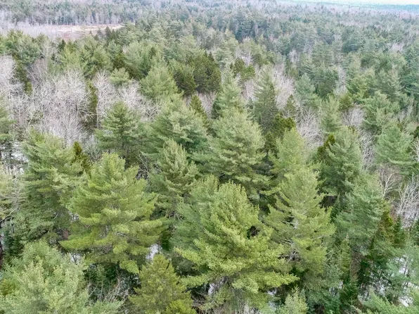 M5 L1-49 Glacier Lane, Northfield, ME 04654