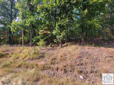 0 N Fork Rd, Martinsville, VA, 24112