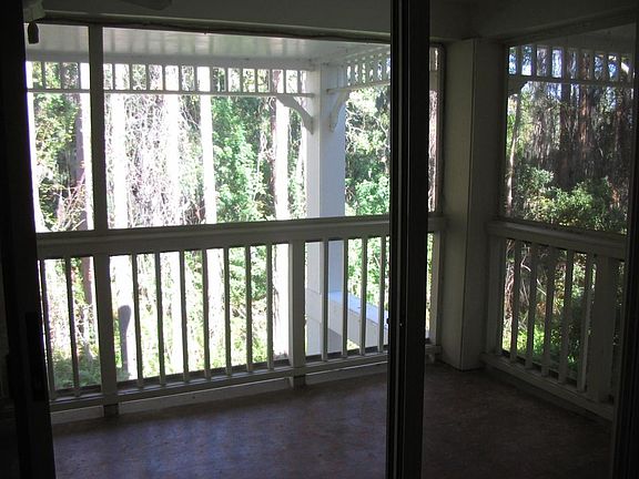 Looking out back into wooded preserve