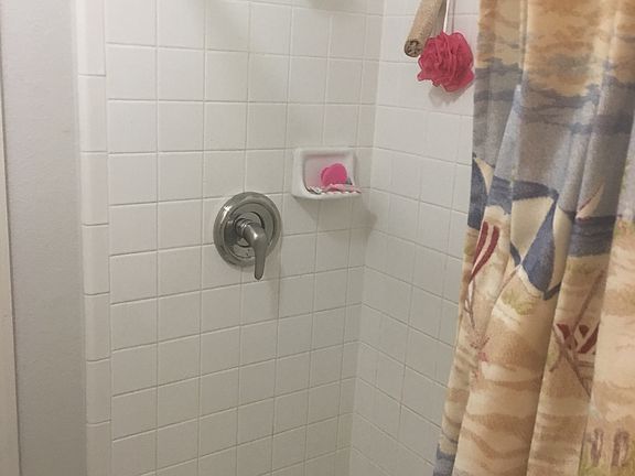 Master shower 