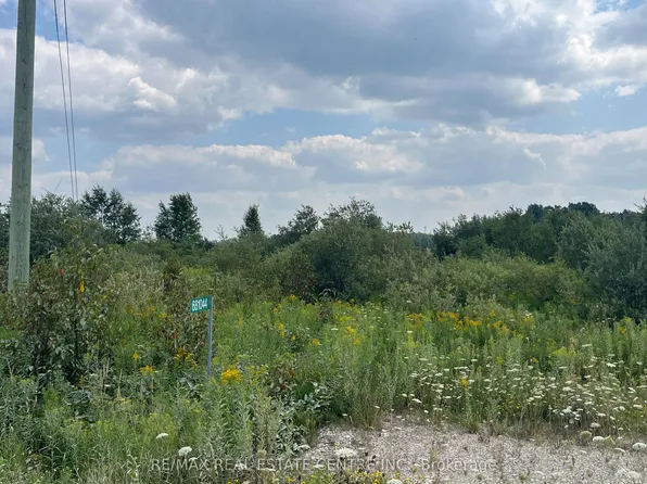 681044 Side Road 260, Melancthon, ON L9V 2M7