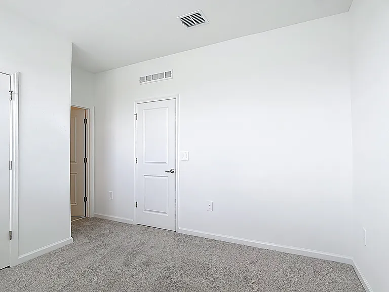 2433 Spring Tune Aly — Photo 16
