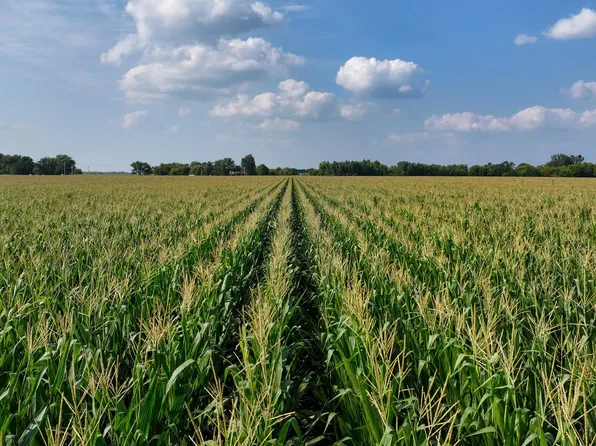 90252 Acres Vacant Ln, Livingston, WI 53554