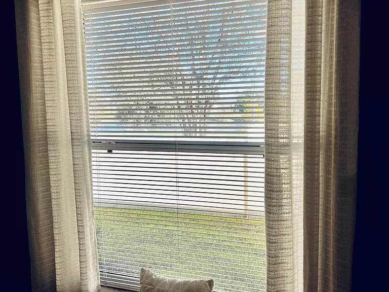 Primary Bedroom view of the pond across the street.