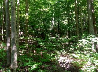 Texas Hill Rd, Georgetown, NY 13072