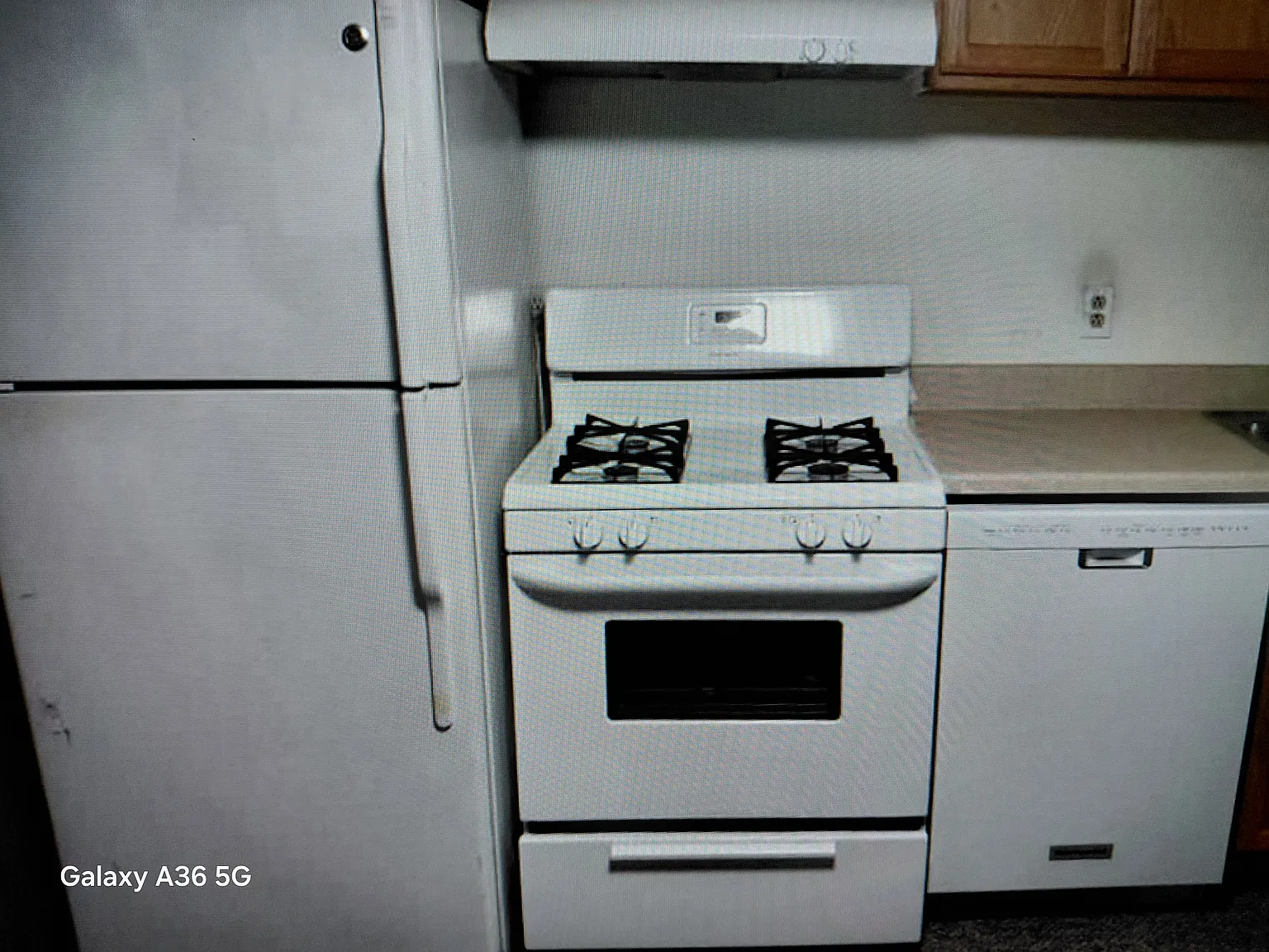7815 Ivandale Dr #3 photo 1