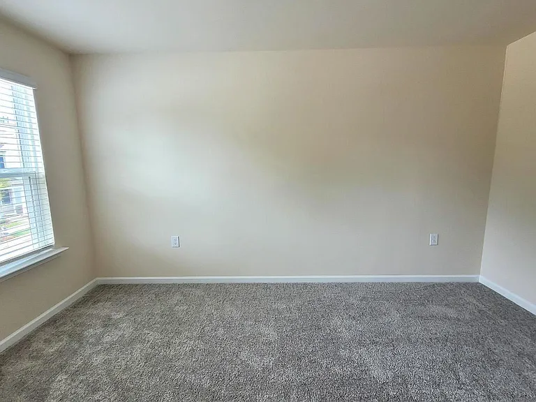 234 Ribbon Rail St — Photo 43