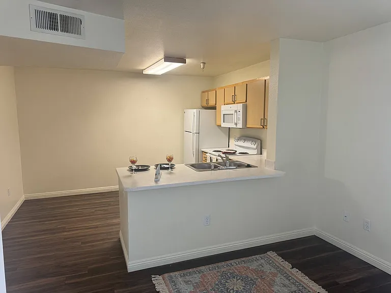 Vintage at Citi Vista 55+ Apartments — Photo 10