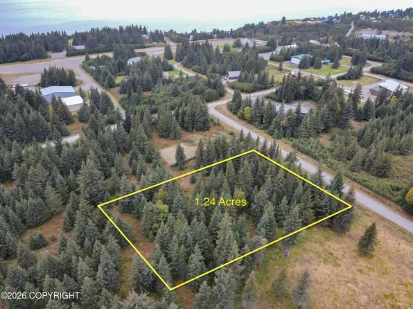 72755 Grumman Ave, Anchor Point, AK 99556