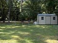 backyard & shed